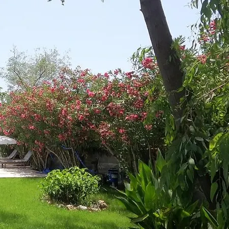 Mulberry House Dalyan