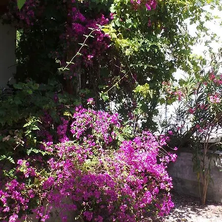 Mulberry House * Dalyan