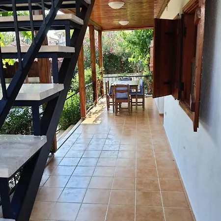 Mulberry House * داليان